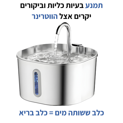 תגן על הכלב שלך מהתייבשות ובעיות בשתן עם מזרקת MOR-VEN