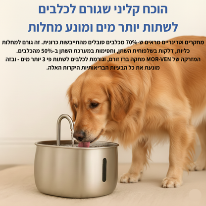 תגן על הכלב שלך מהתייבשות ובעיות בשתן עם מזרקת MOR-VEN