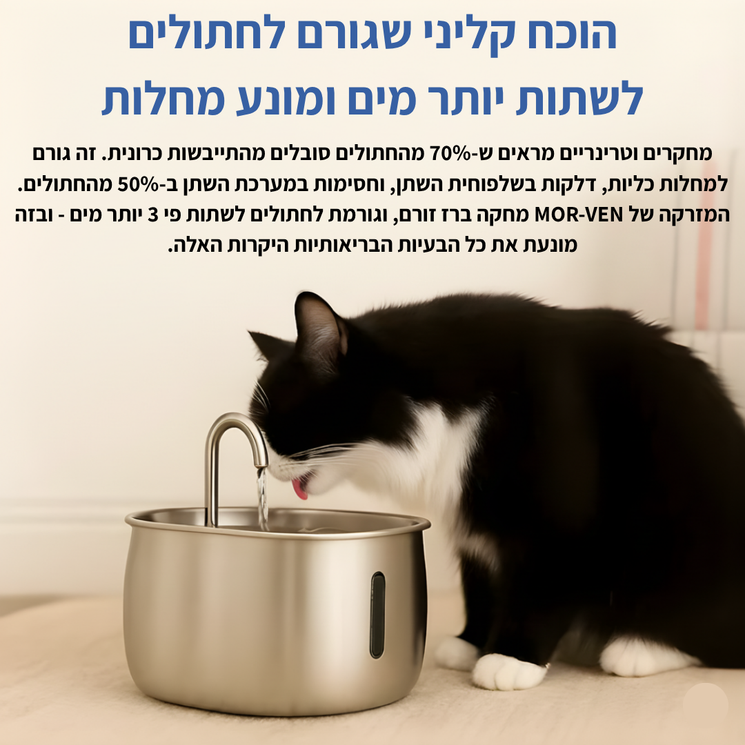 תגן על החתול שלך מהתייבשות ובעיות בשתן עם מזרקת MOR-VEN