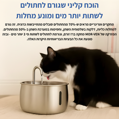 תגן על החתול שלך מהתייבשות ובעיות בשתן עם מזרקת MOR-VEN
