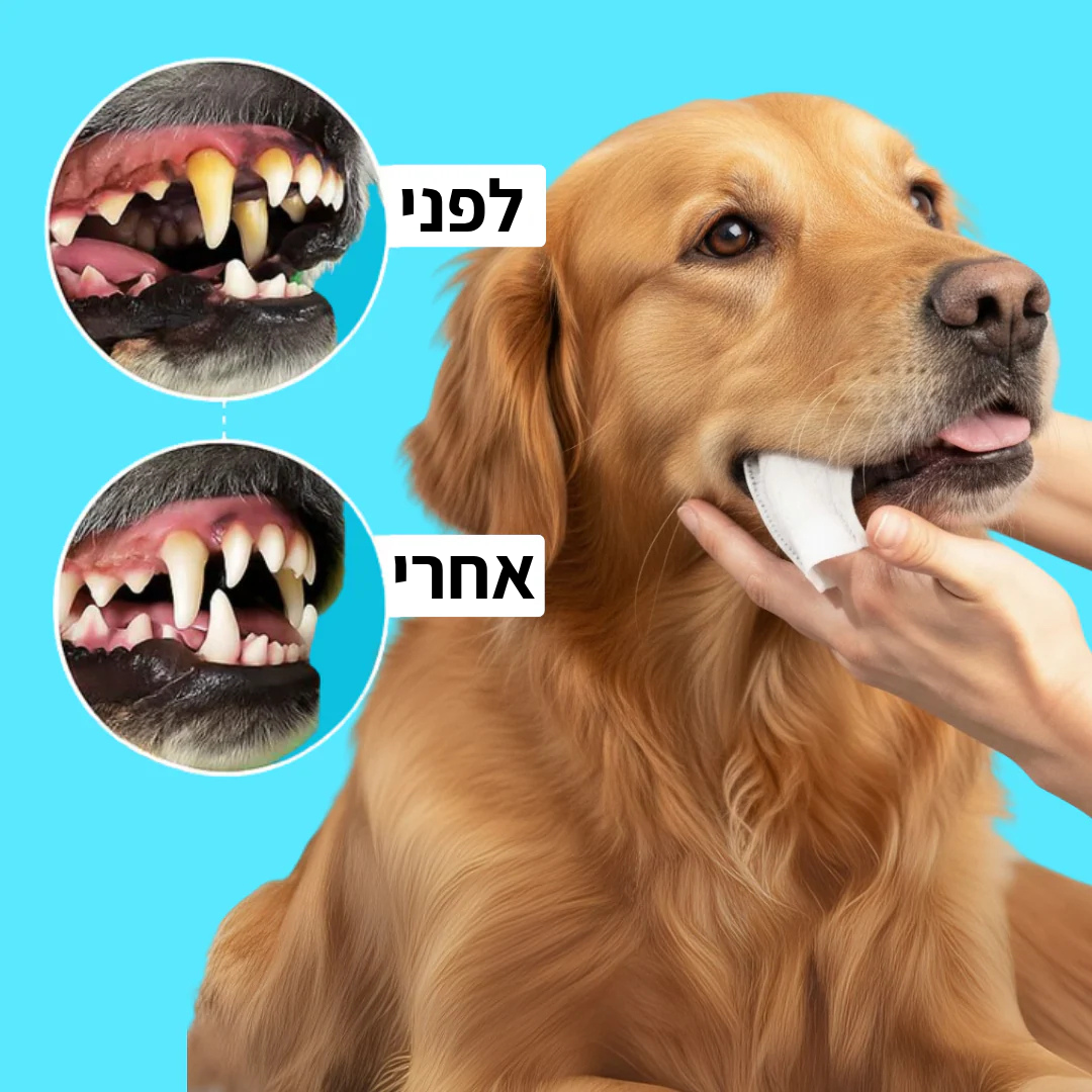 נמאס לך להילחם עם מברשת שיניים ולשלם הון אצל הווטרינר?