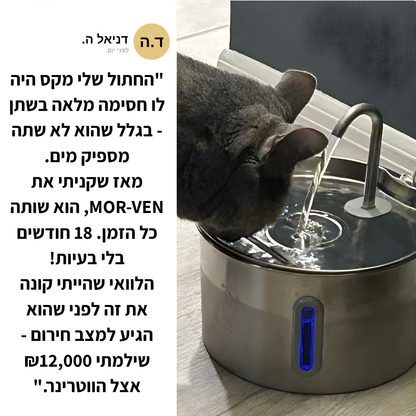 תגן על החתול שלך מהתייבשות ובעיות בשתן עם מזרקת MOR-VEN