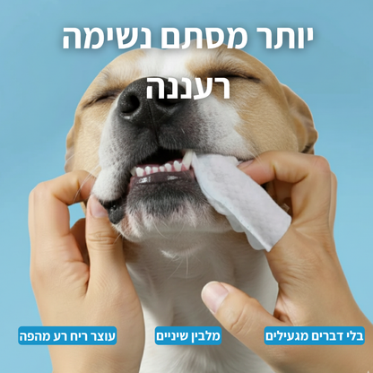 נמאס לך להילחם עם מברשת שיניים ולשלם הון אצל הווטרינר?