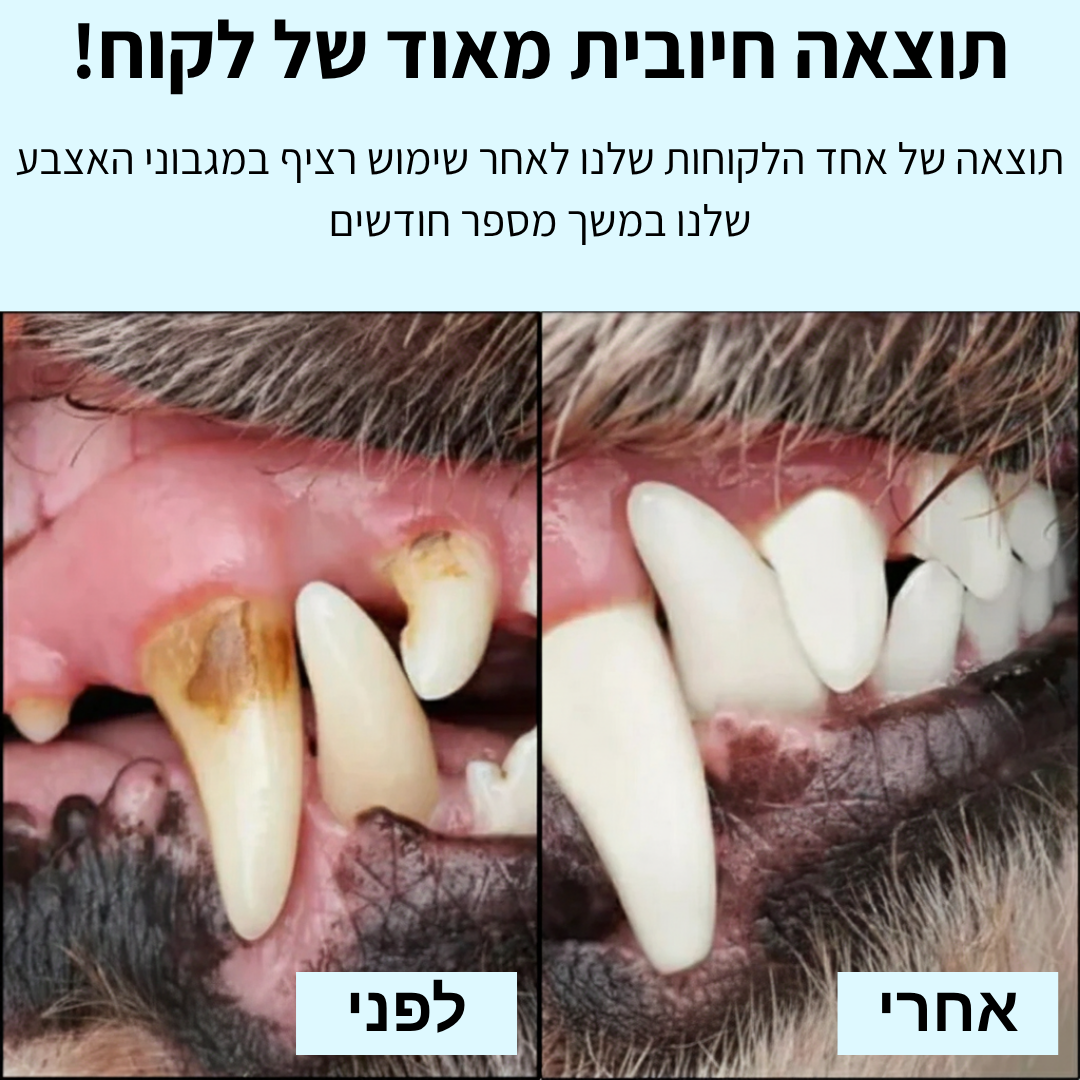 נמאס לך להילחם עם מברשת שיניים ולשלם הון אצל הווטרינר?