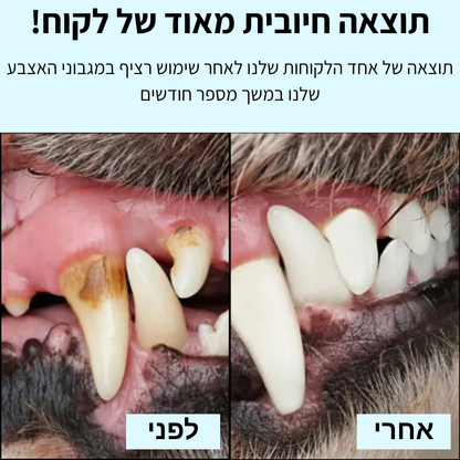 נמאס לך להילחם עם מברשת שיניים ולשלם הון אצל הווטרינר?