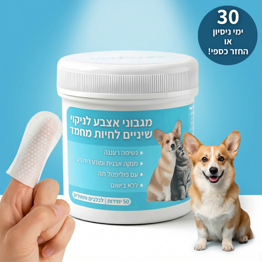 נמאס לך להילחם עם מברשת שיניים ולשלם הון אצל הווטרינר?