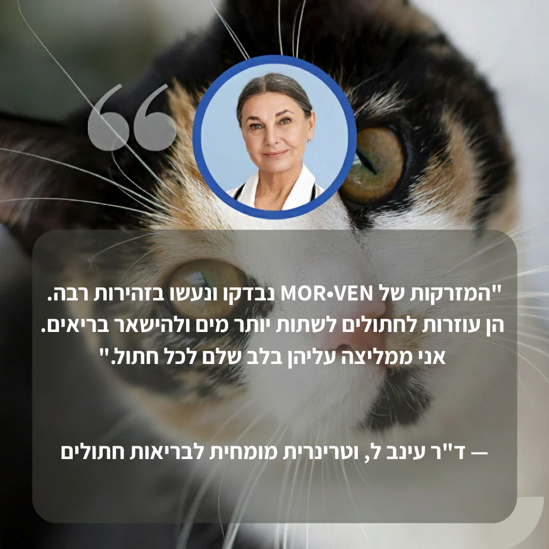 תגן על החתול שלך מהתייבשות ובעיות בשתן עם מזרקת MOR-VEN