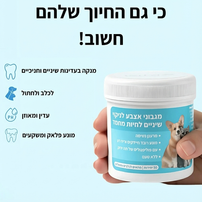 נמאס לך להילחם עם מברשת שיניים ולשלם הון אצל הווטרינר?