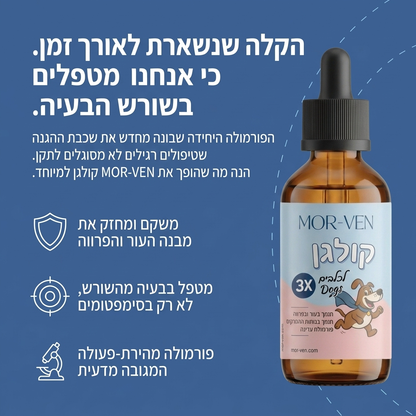 MORVEN Collagen Drops – קולגן נוזלי לכלבים