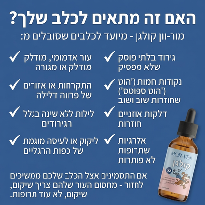 MORVEN Collagen Drops – קולגן נוזלי לכלבים